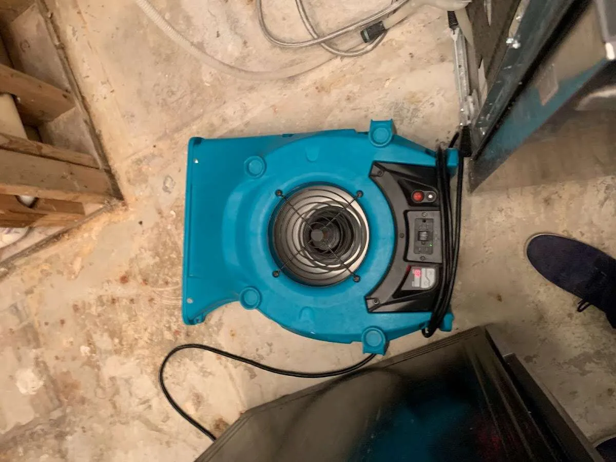 Air mover drying equipment for Mold Remediation & Removal in North Sewickley