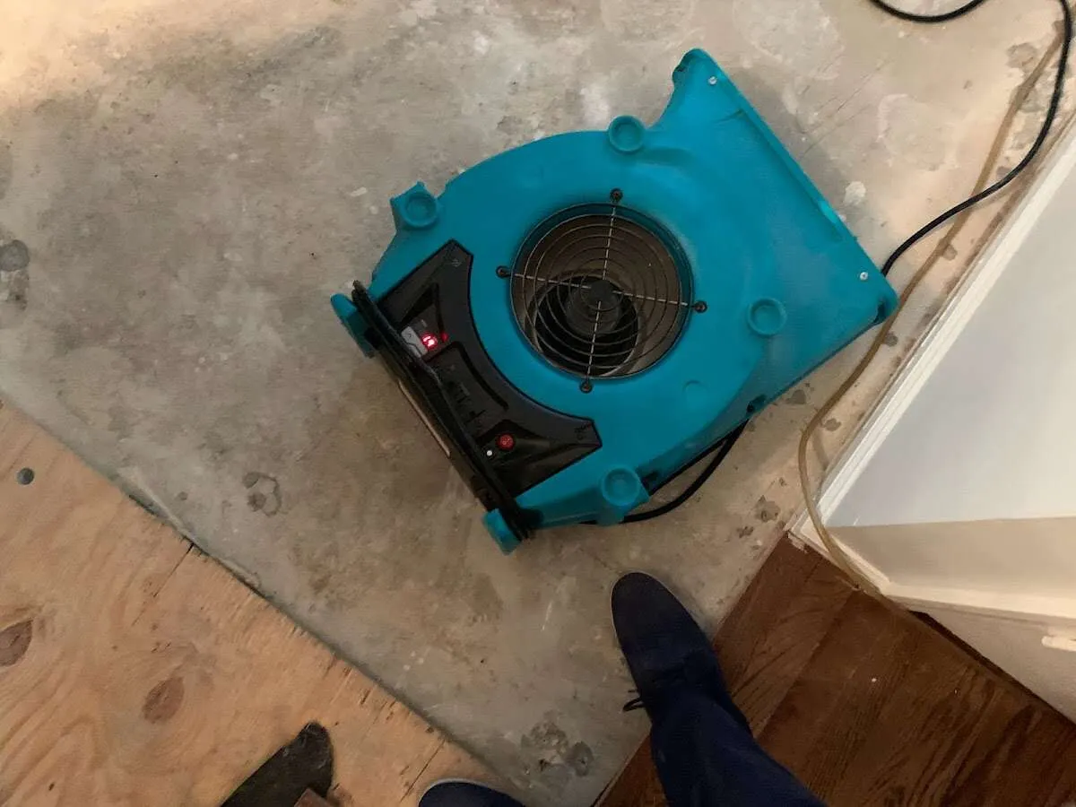 Air mover drying subfloor during Commercial Water Damage Restoration in North Sewickley